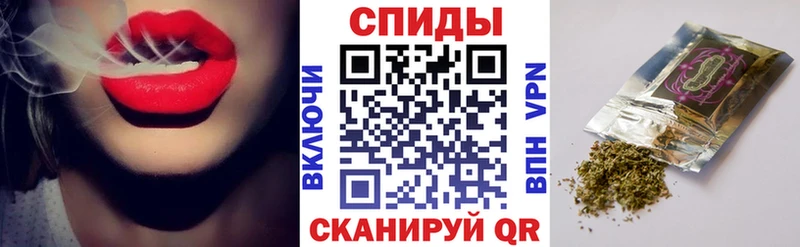 KRAKEN Пересвет Бутират буратино